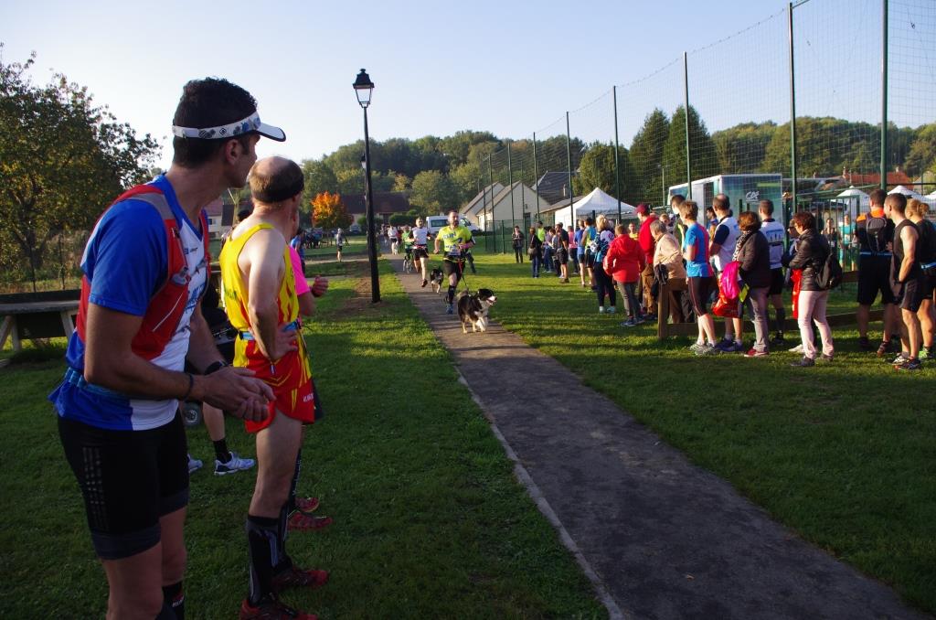 trail_chiens